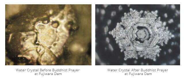 Masuru-Emoto-Water-Consciousness-Buddhist-Prayer